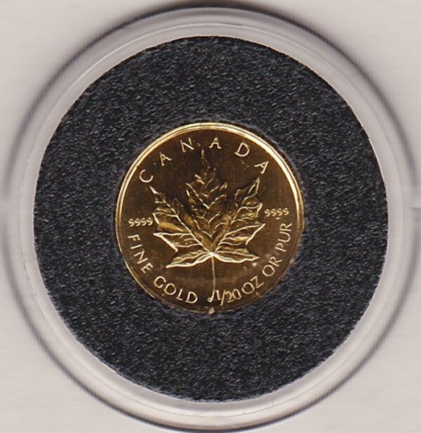 2001 Canada Gold Twentieth Ounce Maple Leaf Coin. This Gold Twentieth Ounce Maple Leaf coin was struck in 9999 Fine Gold and weighs approx. 1.55 grams.