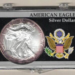 1999 Silver USA One Ounce Eagle cased . The liberty is on the obverse, The eagle is on the reverse. The coin contains one ounce of 999 fine silver.