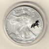 2002 Silver USA One Ounce Eagle. The liberty & Horse Privy Mark on the obverse, The eagle is on the reverse. The coin contains one ounce of 999 fine silver.