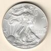 2007 Silver USA One Ounce Eagle. The liberty is on the obverse, The eagle is on the reverse. The coin contains one ounce of 999 fine silver.