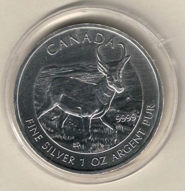 2013 Silver Canada One Ounce Antelope. Elizabeth II is on the obverse, The Antelope is on the reverse. The coin contains one ounce of 9999 fine silver.