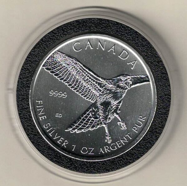 2015 Silver Canada One Ounce Hawk. Elizabeth II is on the obverse, The Red Tailed Hawk is on the reverse. The coin contains one ounce of 9999 fine silver.