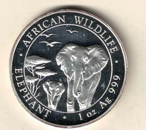 2015 Silver Somali republic One Ounce Elephant. This Coin does feature two Elephants. The coin contains one ounce of 999.9 fine silver.