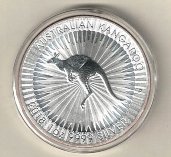 2018 Silver Australia One Ounce Kangaroo. Elizabeth II is on the obverse, The kangaroo is on the reverse. The coin contains one ounce of 9999 fine silver.