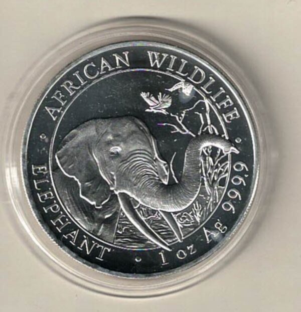 2018 Silver Somali republic One Ounce Elephant. This Coin does feature an Elephant. The coin contains one ounce of 999.9 fine silver.