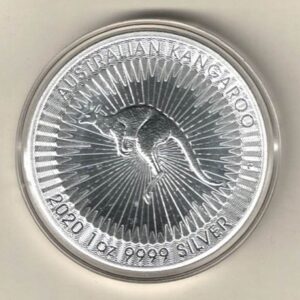 2020 Silver Australia One Ounce Kangaroo. Elizabeth II is on the obverse, The kangaroo is on the reverse. The coin contains one ounce of 9999 fine silver.