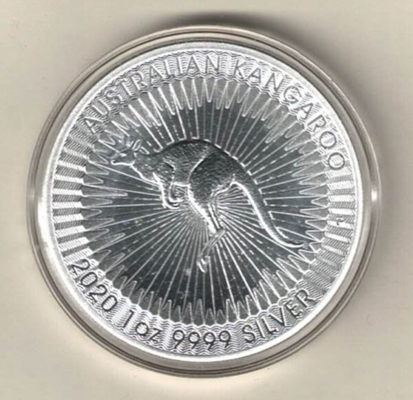 2020 Silver Australia One Ounce Kangaroo. Elizabeth II is on the obverse, The kangaroo is on the reverse. The coin contains one ounce of 9999 fine silver.