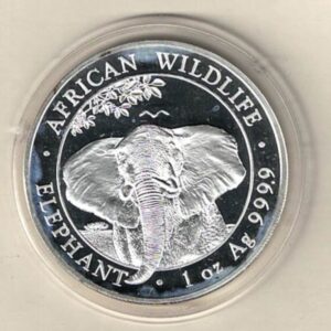 2021 Silver Somali republic One Ounce Elephant. This Coin does feature an Elephant. The coin contains one ounce of 999.9 fine silver.