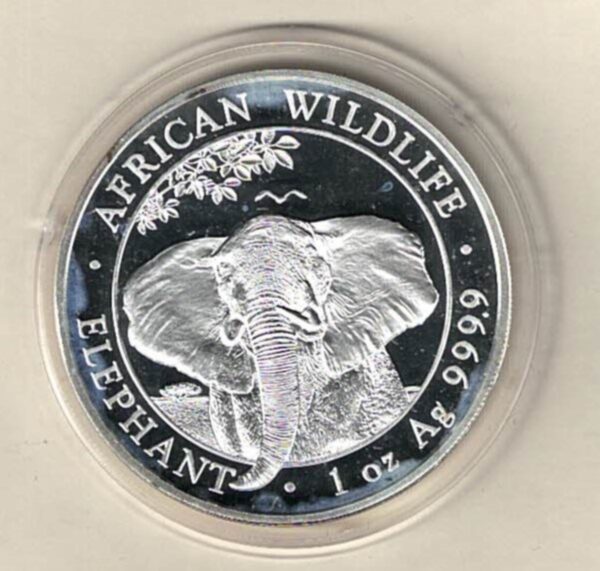 2021 Silver Somali republic One Ounce Elephant. This Coin does feature an Elephant. The coin contains one ounce of 999.9 fine silver.