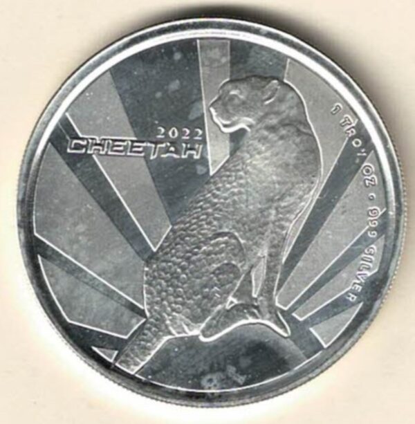 2022 Silver Cameroun One Ounce Cheetah. This Coin does feature a Cheetah Sitting down. The coin contains one ounce of 999 fine silver.