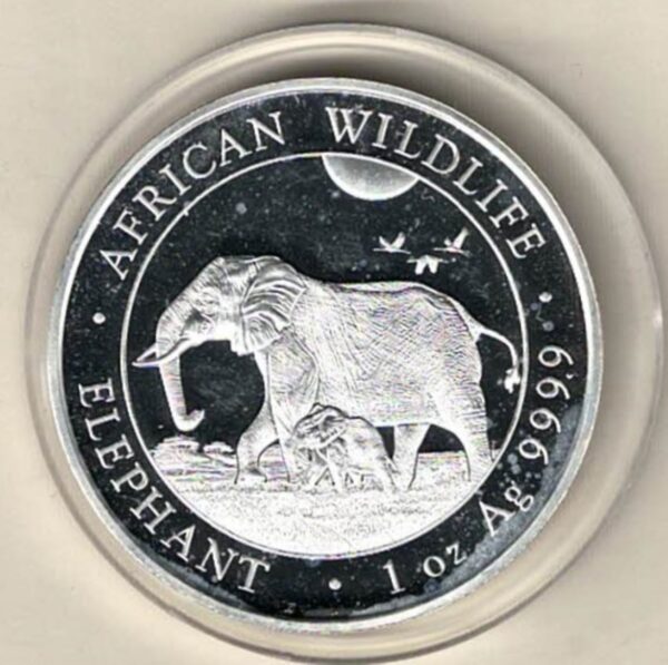 2022 Silver Somali republic One Ounce Elephant. This Coin does feature Elephants. The coin contains one ounce of 999.9 fine silver.