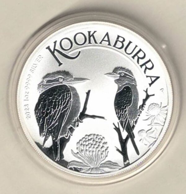 2023 Silver Australia One Ounce Kookaburra Elizabeth II is on the obverse, 2 Kookaburras are on the reverse. The coin contains one ounce of 9999 fine silver