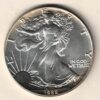 1988 Silver USA One Ounce Eagle. The liberty is on the obverse, The eagle is on the reverse. The coin contains one ounce of 999 fine silver.