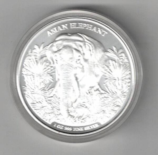 2023 Silver Cambodia One Ounce Asian Elephant. This Coin does feature an Asian Elephant. The coin contains one ounce of 999 fine silver.