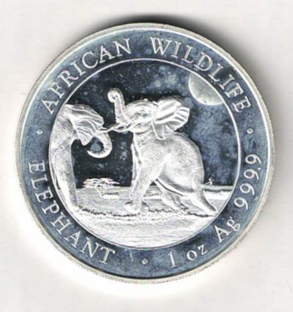 2024 Silver Somali republic One Ounce Elephant. This Coin does feature an Elephant. The coin contains one ounce of 999.9 fine silver.