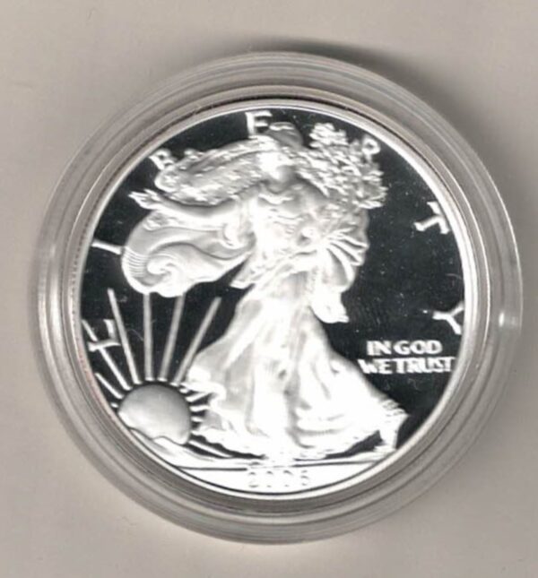 2006 W Silver USA One Ounce Eagle. The liberty is on the obverse, The eagle is on the reverse. The coin contains one ounce of 999 fine silver.