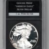 Slabbed 2014 W Silver Proof USA One Ounce Eagle. The liberty is on the obverse, The eagle is on the reverse. All coins are instock.