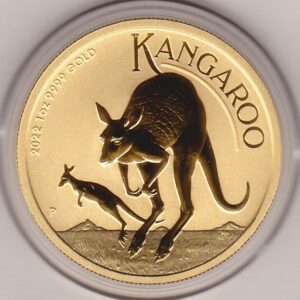 2022 Gold Australia One Ounce Kangaroo coin. Investment one ounce gold coin featuring Queen Elizabeth II on the Obverse. The kangaroo on the Reverse.