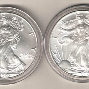 2005 Silver USA One Ounce Eagle set. The liberty is on the obverse, The eagle is on the reverse. These coins contain one ounce of 999 fine silver.