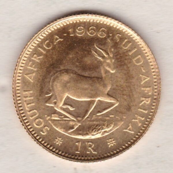 1966 South Africa Gold One Rand coin. The obverse features the portrait of Jan van Riebeeck. The springbok on the Reverse.