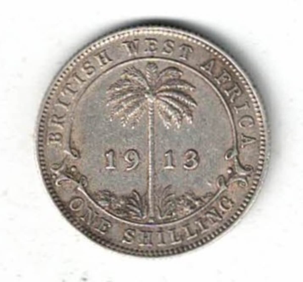 1913 H British West Africa Silver Shilling Coin. The obverse features the bust of king George V facing left. All coins are in stock.