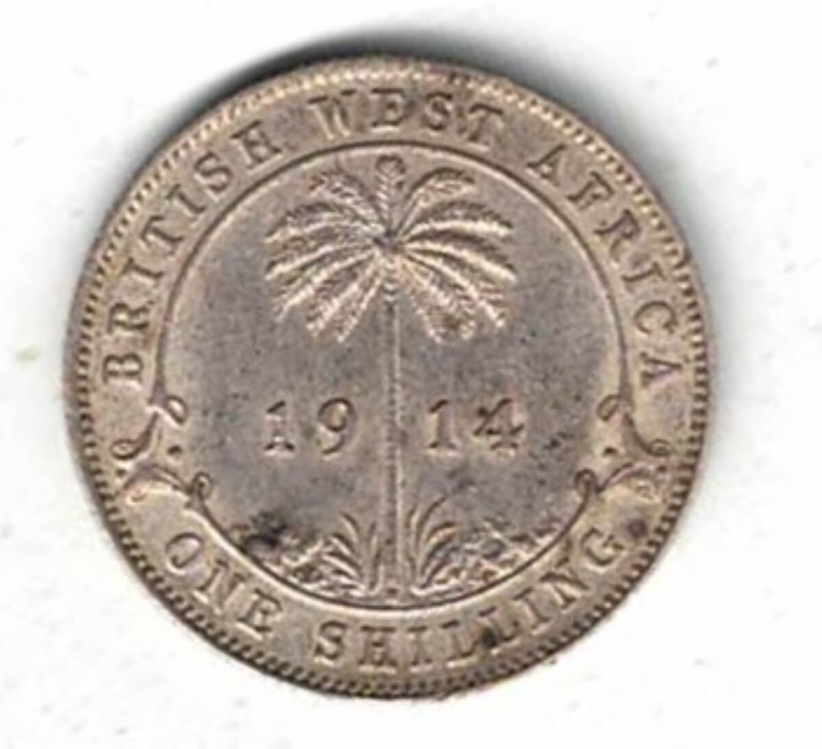 1914 H British West Africa Silver Shilling Coin. The obverse features the bust of king George V facing left. All coins are in stock.