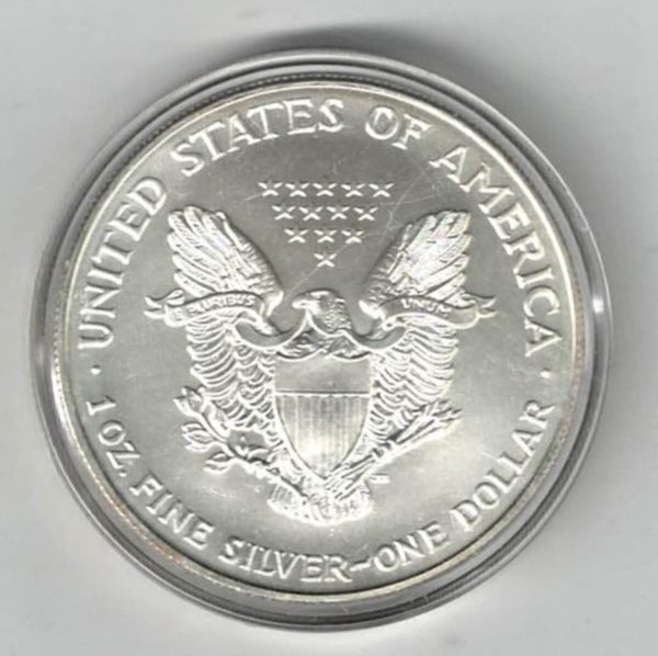 1995 Silver USA Enamelled One Ounce Eagle Coin - Image 2