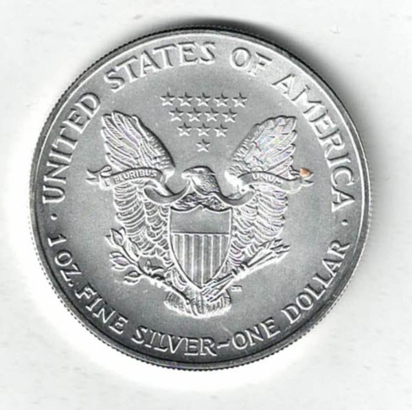 2004 Colourised Silver USA One Ounce Eagle - Image 2