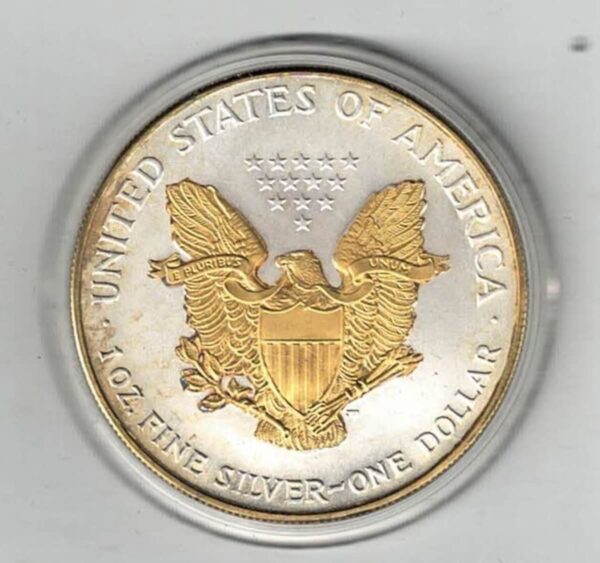 2000 Silver USA One Ounce Colourised Eagle Coin - Image 2