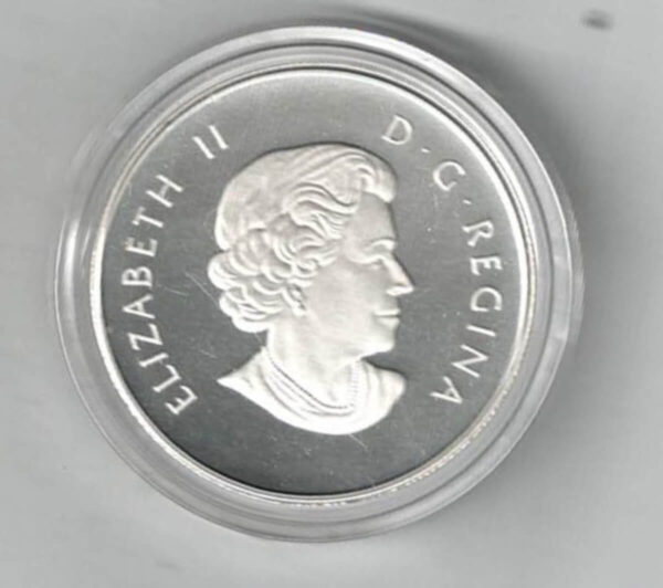 Boxed 2013 Canada Silver Half Ounce The Polar Bear Coin - Image 2