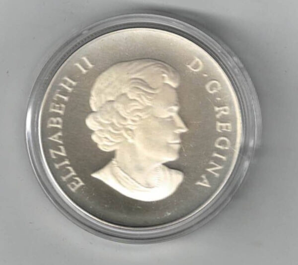 Boxed 2013 Silver Canada One Ounce Bison Stampede Coin - Image 2