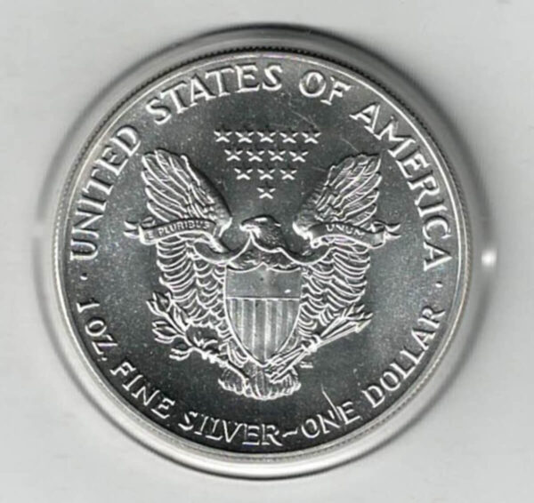 1988 Silver USA One Ounce Eagle - Image 2