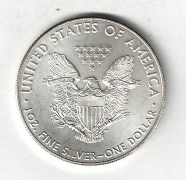 2017 Silver USA One Ounce Eagle Coin - Image 2