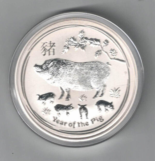 2019 Australia Lunar Year Of The Pig Silver Five Ounce Coin. The obverse features the portrait of Queen Elizabeth II facing right.