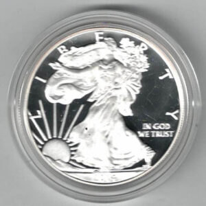Boxed 2014 W Silver Proof USA One Ounce Eagle. The liberty is on the obverse, The eagle is on the reverse. All coins are instock.