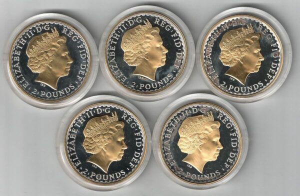 Boxed 2006 Britannia Golden Silhouette Five One Ounce Coin Collection - Image 2