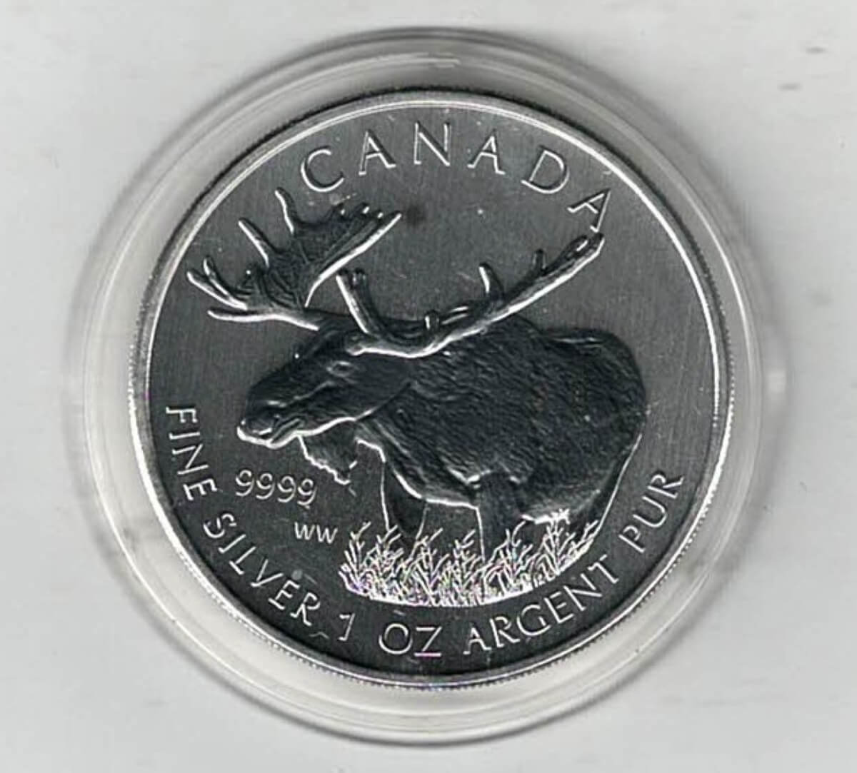 2012 Silver Canada One Ounce Maple. Elizabeth II is on the obverse, The Moose is on the reverse. The coin contains one ounce of 9999 fine silver.