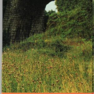 2006 The Egyptian Arch Bridge One Pound Coin featuring Elizabeth II on the Obverse side of the coins. All coins are in stock for despatch.