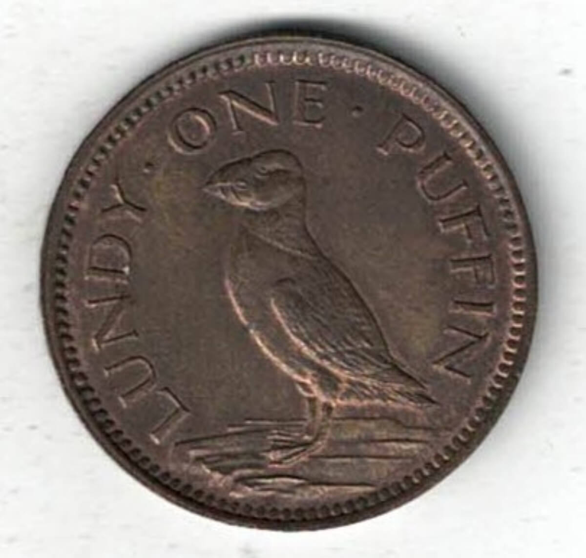 1929 Lundy Bronze Puffin Coin. The obverse features Martin Coles Harman, with the date 1929 below. The reverse side of the coin features a Puffin.
