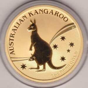 2009 Gold Australia One Ounce Kangaroo coin. Investment one ounce gold coin featuring Queen Elizabeth II on the Obverse. The kangaroo on the Reverse.