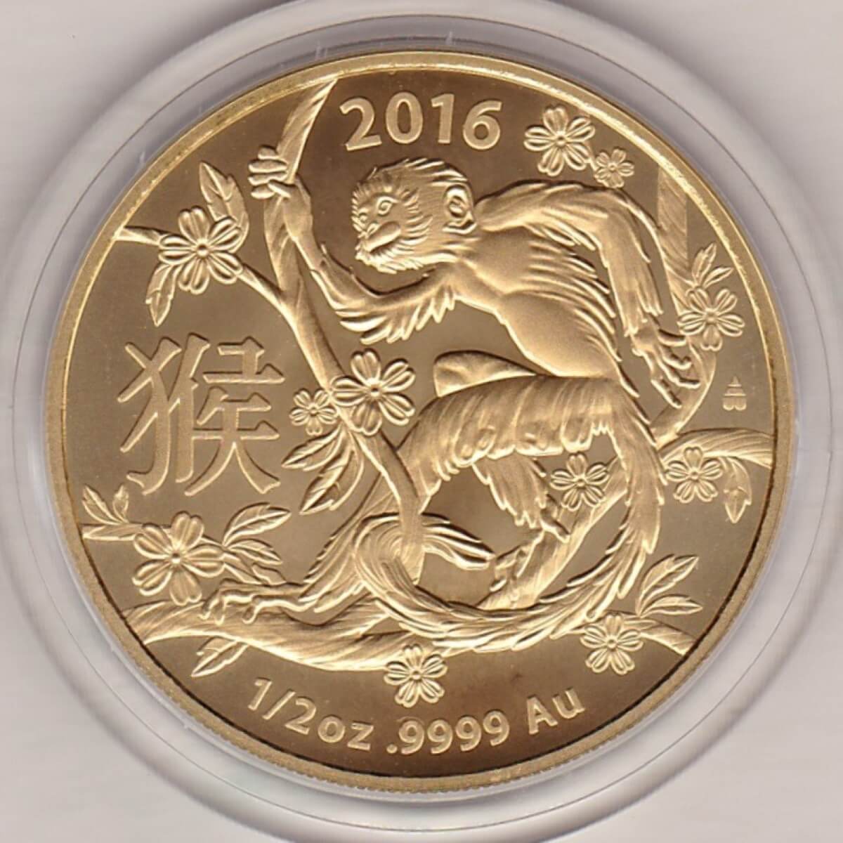 2016 Australia Gold Half Ounce coin. The reverse features a monkey on a tree branch. This coin was issued as part of the Lunar series II.