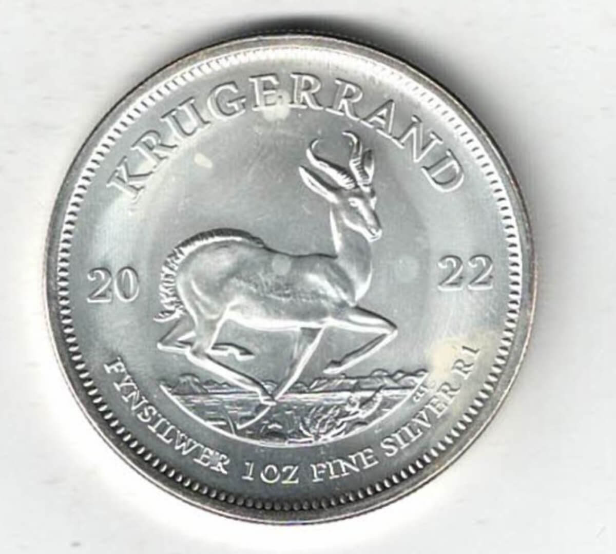 2022 Silver South Africa One Ounce Krugerrand. Paul Kruger is on the obverse. The coin contains one ounce of 999 fine silver