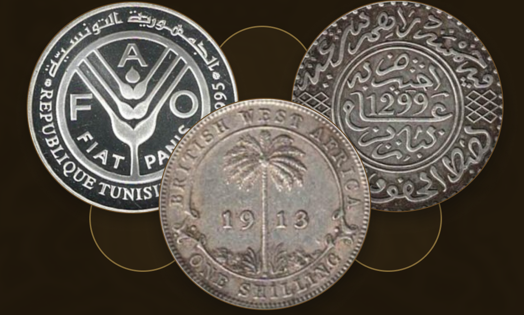 African Coins