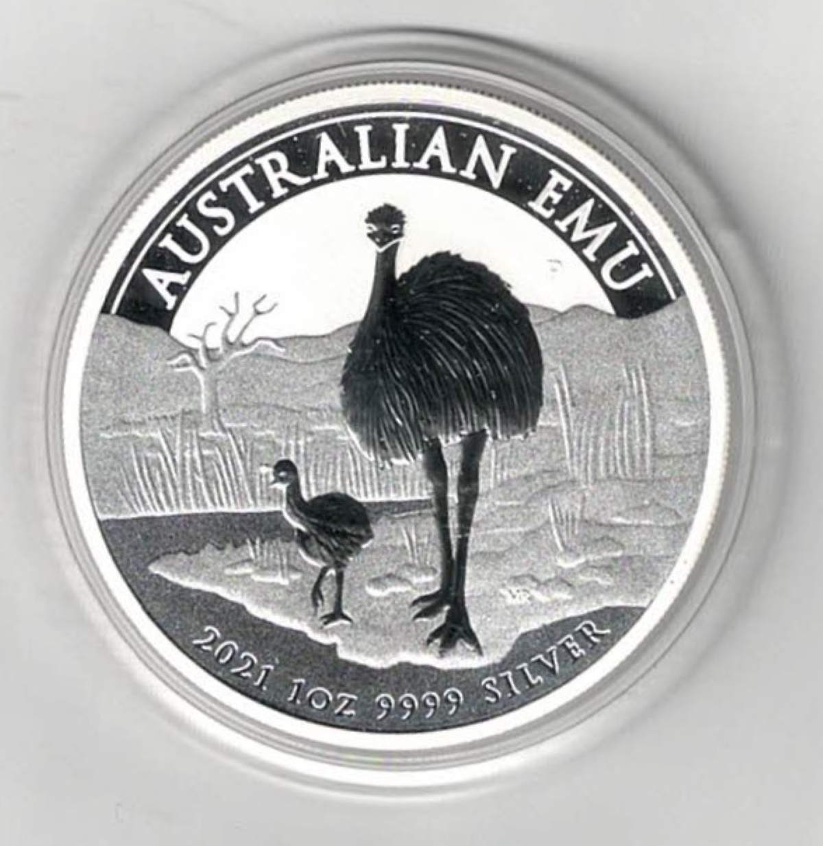 2021 Silver Australia One Ounce Emu Coin. Elizabeth II is on the obverse, an Emu mother and baby is on the reverse. All coins are in stock for dispatch.