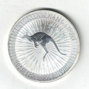 2025 Silver Australia One Ounce Kangaroo. Charles III is on the obverse, The kangaroo is on the reverse. The coin contains one ounce of 9999 fine silver.