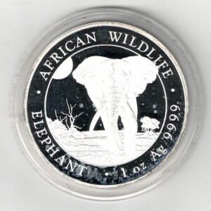 2025 Silver Somali republic One Ounce Elephant. This Coin does feature an Elephant. The coin contains one ounce of 999.9 fine silver.