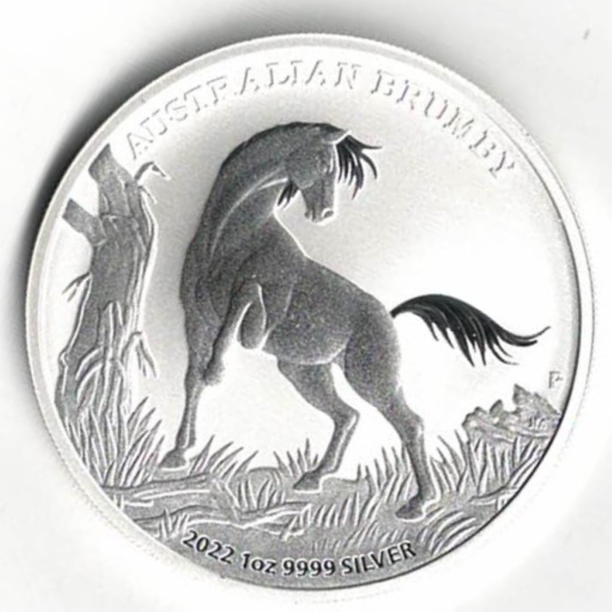 2022 Silver Australia One Ounce Brumby | Dorset Coin Company