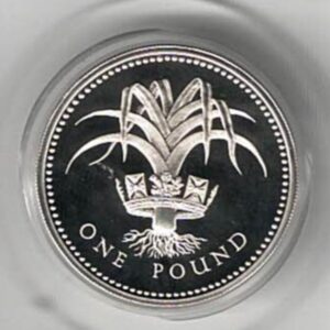 1986 One Pound Silver Proof Welsh Leek on reverse. Elizabeth II on obverse. All coins in stock and ready to despatch. Royal Diadem series.