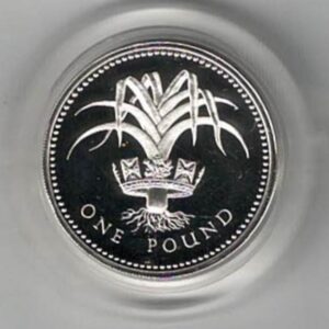 1985 One Pound Piedfort Silver Proof Welsh Leek. This double thickness coin includes the original box and certificate. Ready for dispatch.
