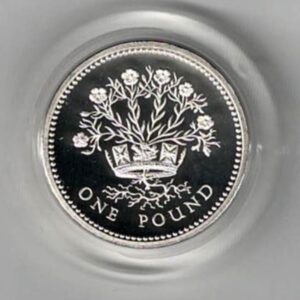 1986 One Pound Piedfort Silver Proof Northern Irish Flax. This double thickness coin includes the original box and certificate. Ready for dispatch.